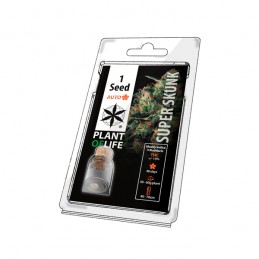 PLANT OF LIFE AUTO - SUPER...