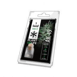 PLANT OF LIFE FEM - AK49 x1...