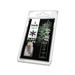 PLANT OF LIFE FEM - AK49 x5...