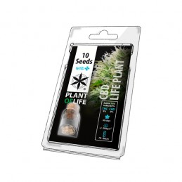 PLANT OF LIFE HIGH CBD -...