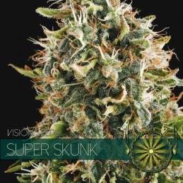 VISION FEM - SUPER SKUNK x3...