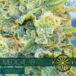 VISION MED - MEDICAL 49 CBD...