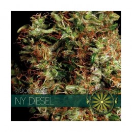 VISION FEM - NY DIESEL x3...