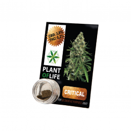PLANT OF LIFE SOLID 3.8%...