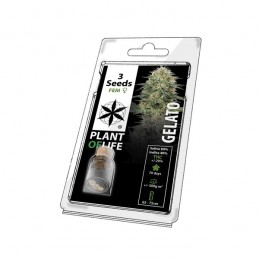 PLANT OF LIFE FEM - GELATO...