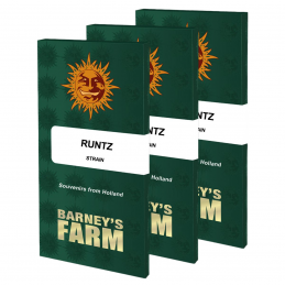 BARNEY'S FARM FEM - RUNTZ...