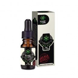 PLANT OF LIFE OLE 3 % CBD -...