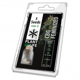 PLANT OF LIFE FEM - CBG x5...