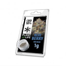 10% SOLID 1G BLUEBERRY